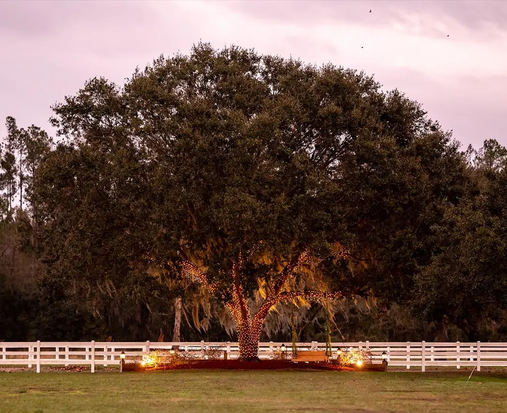Outdoor corporate event venue with tree lighting in St. Augustine FL